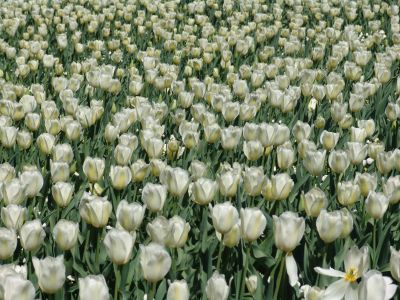 floriade14.jpg