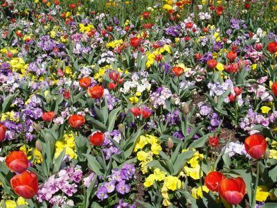 floriade18.jpg