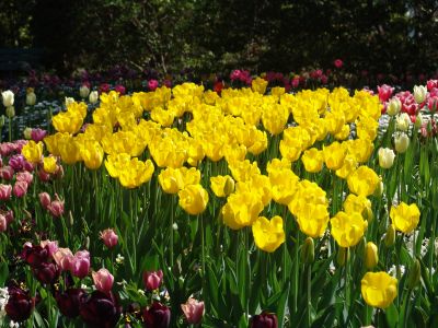 floriade19.jpg