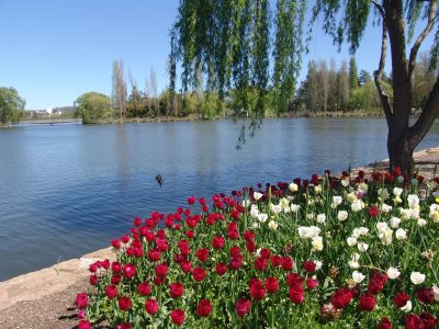 floriade23.jpg