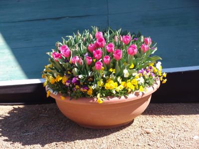 floriade26.jpg