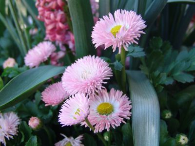 floriade27.jpg