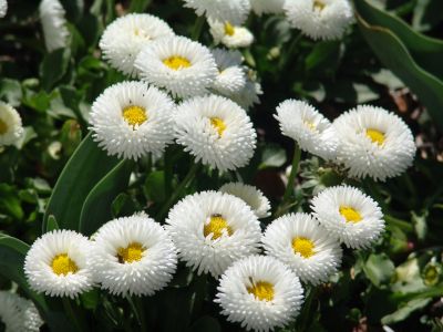 floriade32.jpg