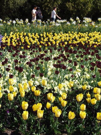floriade34.jpg