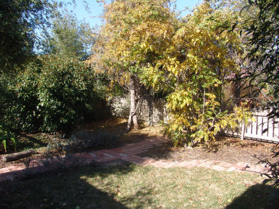 Very secluded little front yard, and that's the only lawn in the whole place