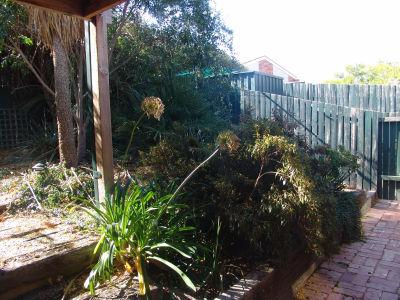 Some more of the back yard