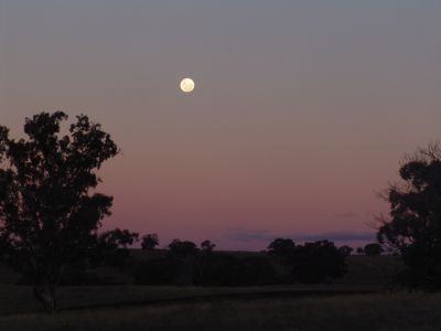 Moonrise