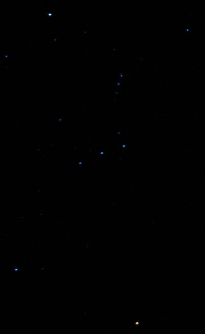 Orion