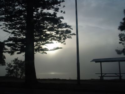 fog.jpg
