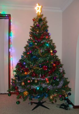 Christmas tree, 2009