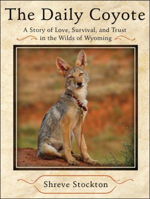 The Daily Coyote