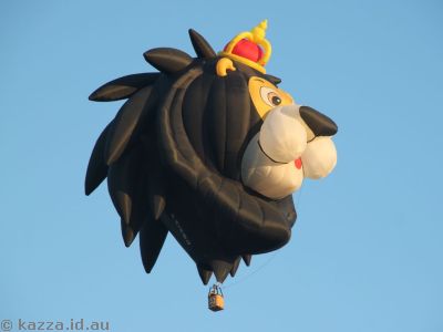 Canberra Balloon Fiesta 2013