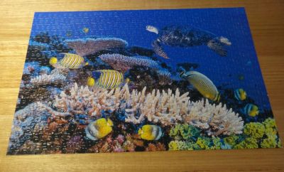 Coral jigsaw