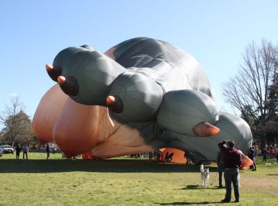 Skywhale