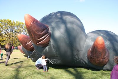 Skywhale