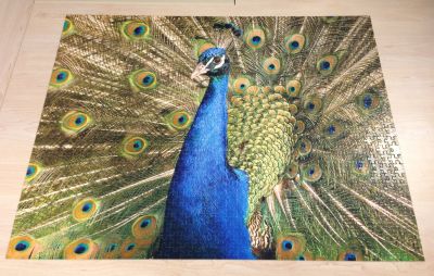 Peacock jigsaw