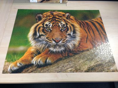 Tiger jigsaw