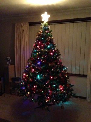 Our Christmas Tree