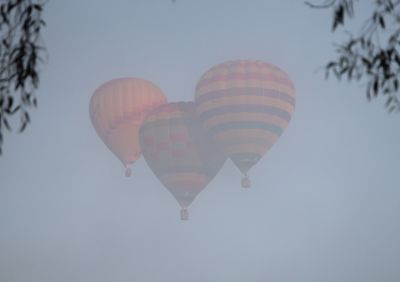 Canberra Balloon Fiesta 2015