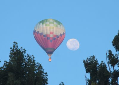 Canberra Balloon Fiesta 2015