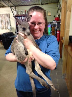 Club kangaroo