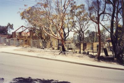 Como Presbyterian Church January 1994 bushfires
