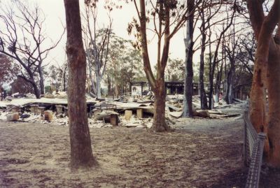 Como 1994 bushfires