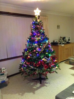 Christmas tree 2017