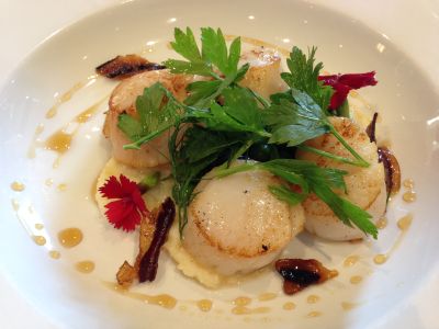 Courtyard Scallops