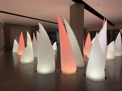 Actew teeth cones things