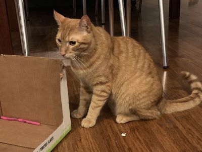 Arthur
