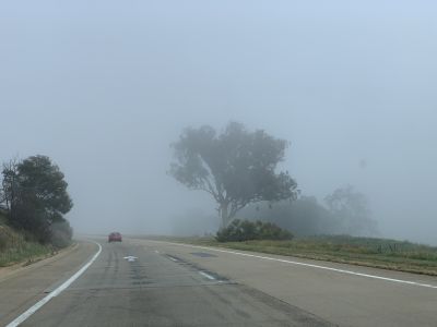 Foggy Hume Highway