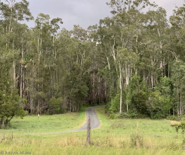 Entrance to estate off 10 Wonga Crescent, and a big boi kangaroo