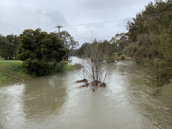 Ginninderra Creek in flood