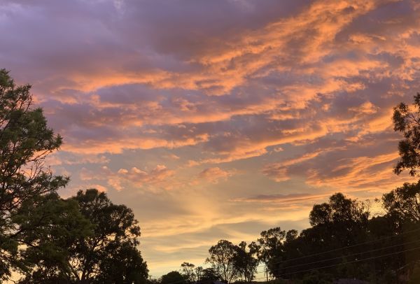 Pretty sunset