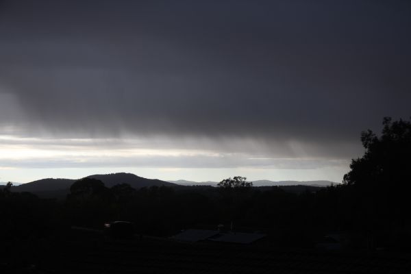 Rain
