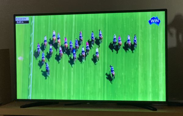 Some silly horse race