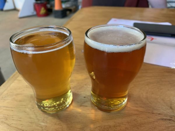 Tumut River Brewing Co (TRBC) 7oz tasters