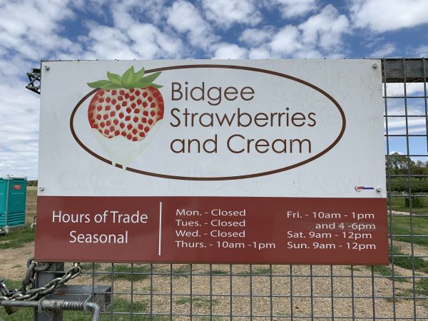 Bidgee Strawberries and Cream