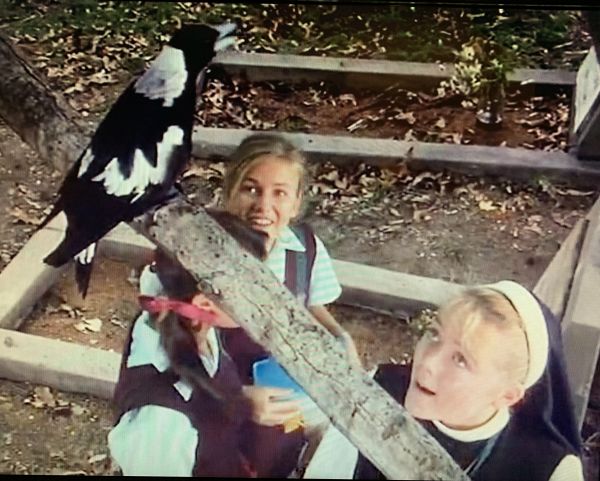 Early penguin collaboration