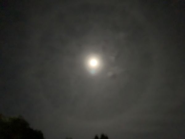 Moonbow