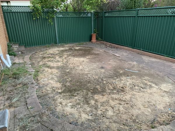 Pool weeds after