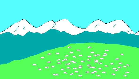 Sheep drawing