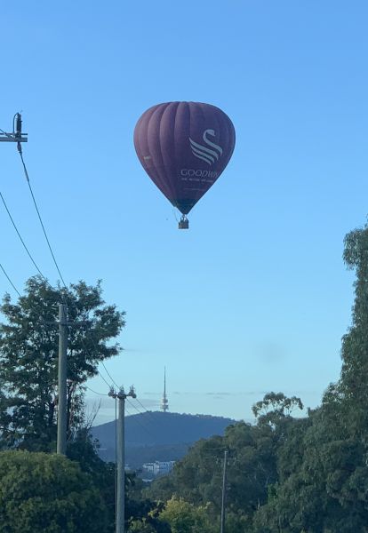 Hot air balloon over our street