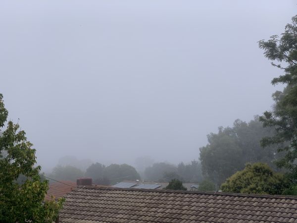Very early fog