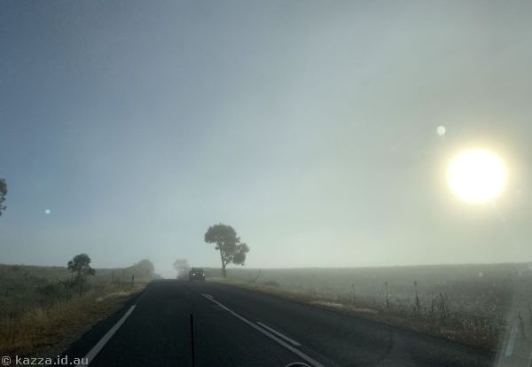 Foggy morning
