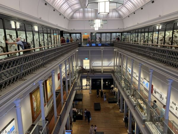 The Australian Museum