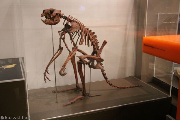 The Australian Museum
