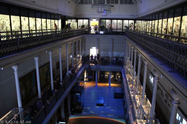 The Australian Museum
