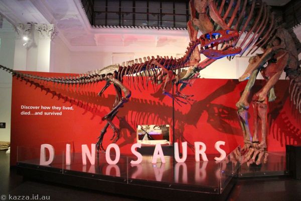 The Australian Museum